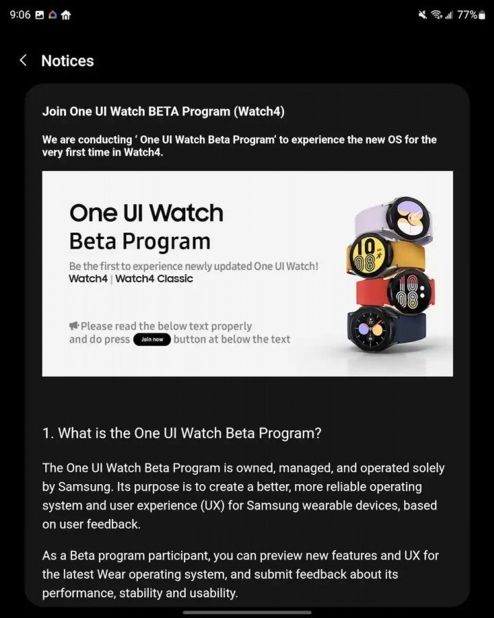 One UI Watch Beta